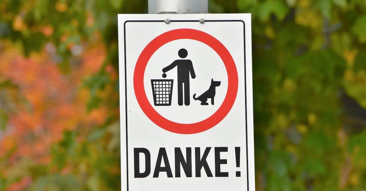 Профессиональный анализ немецких игорных платформ онлайн